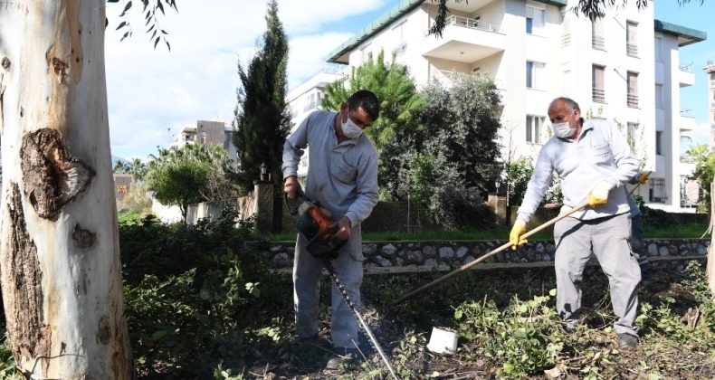 Konyaaltı Belediyesi’nden, park bahçe ve yeşil alanlara kışlık bakım