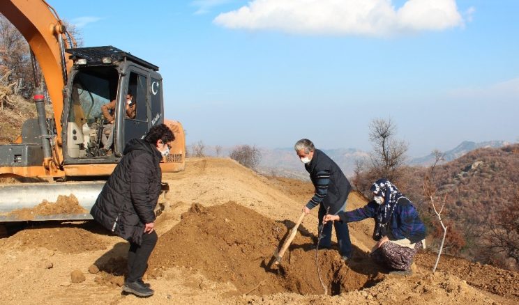 Küresel ısınmaya karşı ceviz fidanlı önlem