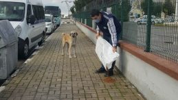 Manisa’da sokak hayvanlarına mama desteği