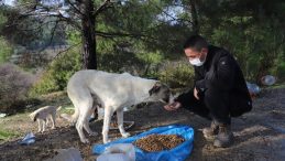 Menderes’te sokağa çıkma kısıtlamasında sokak hayvanları unutulmadı