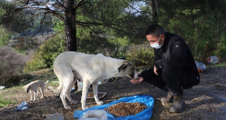 Menderes’te sokağa çıkma kısıtlamasında sokak hayvanları unutulmadı