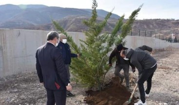 Millet Bahçesi’nin ilk fidanları toprakla buluşturuldu