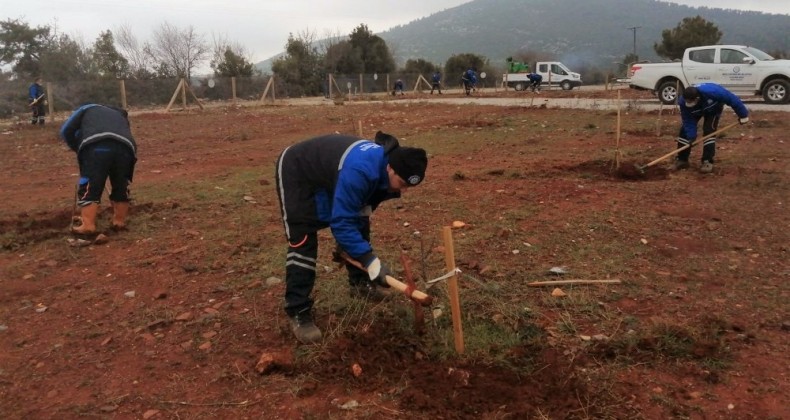 Muğla Büyükşehir’den “Hortikültürel terapi” alanı