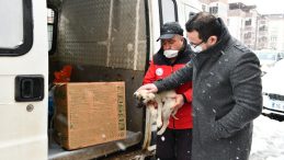 Mustafakemalpaşa’da can dostları için seferberlik