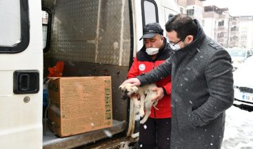 Mustafakemalpaşa’da can dostları için seferberlik