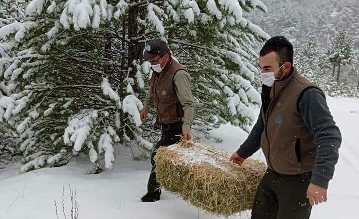 Nallıhan’da yaban hayvanları unutulmadı