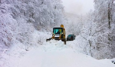 Ordu’nun yükseklerinde kar yağışı etkili oluyor