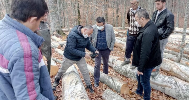 Orman İşletmesi Mustafakemalpaşa’ya nefes oldu