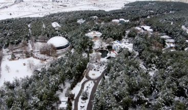 Gaziantep’te Çöl Hayvanlarına Kar Keyfi