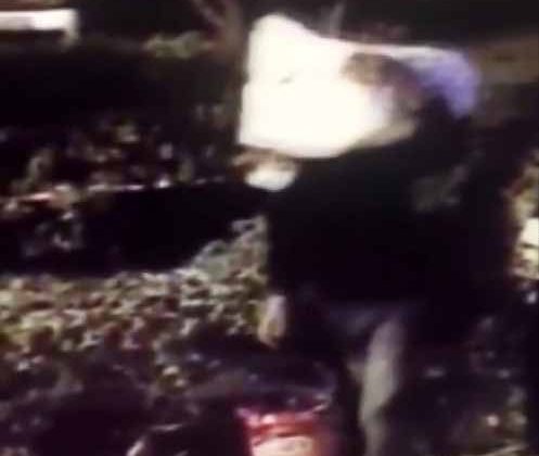 İstanbul’da pes dedirten hırsızlık: Kardan adamı çaldılar