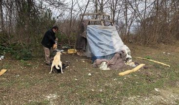 Pandemide aç kalan sokak hayvanları unutulmadı