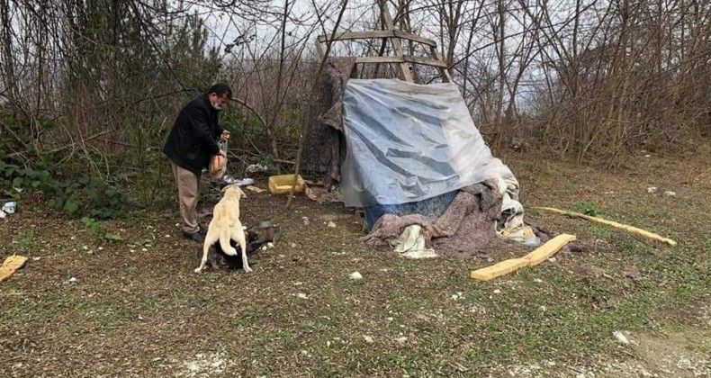 Pandemide aç kalan sokak hayvanları unutulmadı