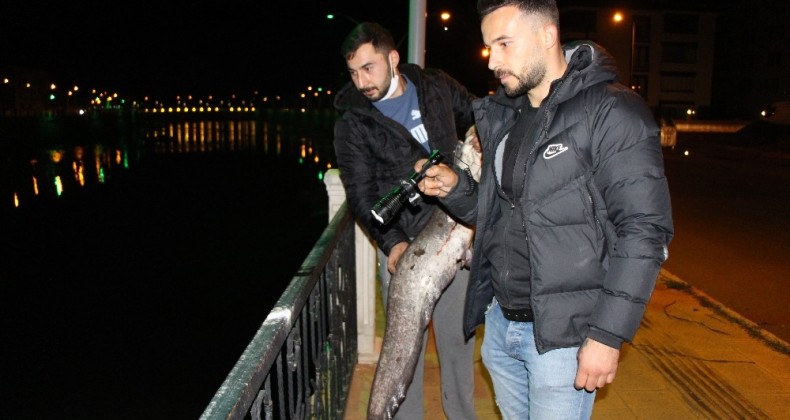 Polis ‘zehirli olabilir’ diye uyardı ama onlar fenerle aydınlatıp balık tuttu