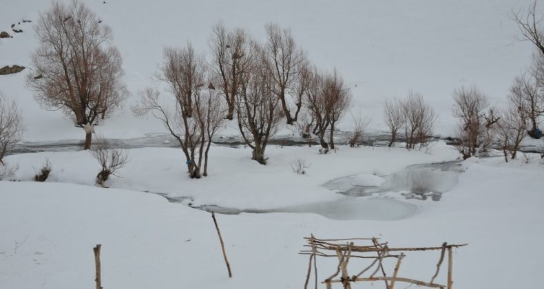 Sıcaklık eksi 20’ye düştü ağaçlar buz tuttu