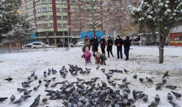 Soğuk havalarda sokak hayvanları unutulmadı