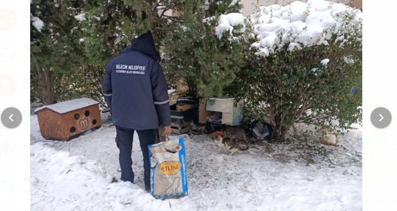 Soğuk ve karlı havalarda sokak hayvanları mamasız ve susuz bırakılmıyor