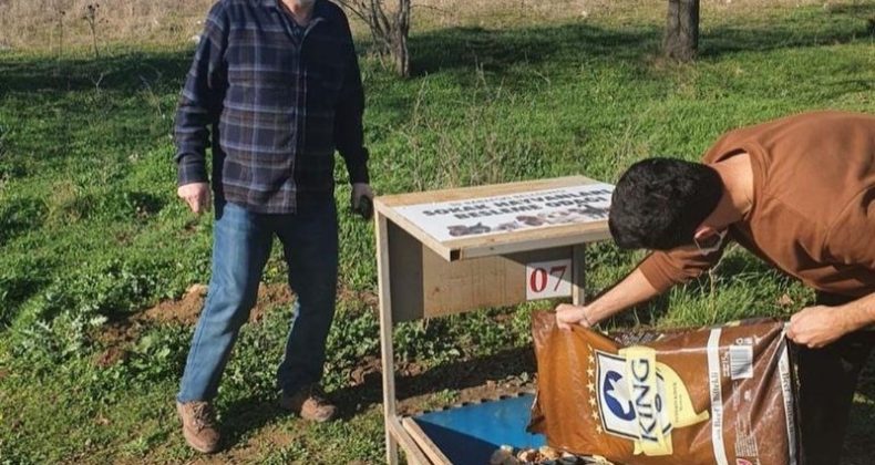 Sokağa çıkma kısıtlamasında can dostlar unutulmadı