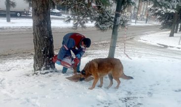 Sokak hayvanları unutulmuyor