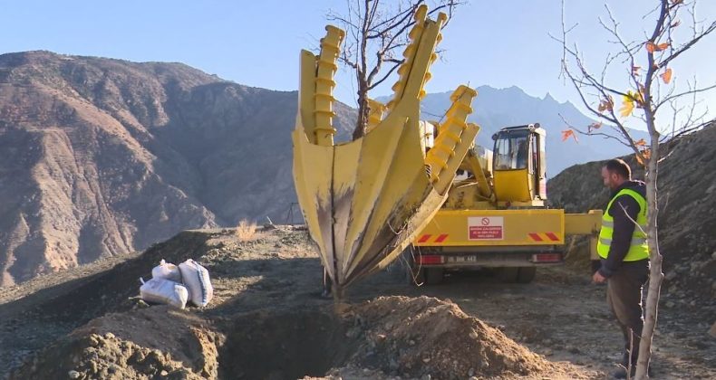 Türkiye’nin en fazla ağaç taşıma işlemi Yusufeli yeni yerleşim yerinde gerçekleşti