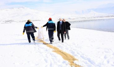 Tuşba Belediyesi yaban hayvanları için doğaya yem bıraktı