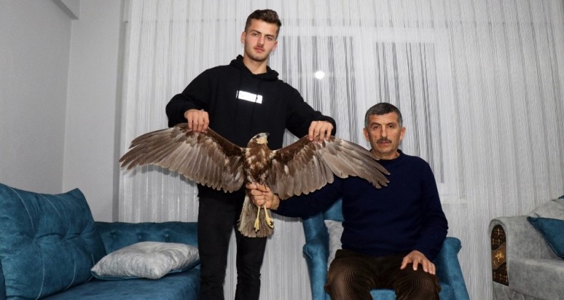 Uçmakta zorlanan doğana hayvan sever sahip çıktı