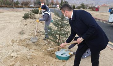 Ürgüp ‘te fidanlar Ekobox sistemi ile dikiliyor