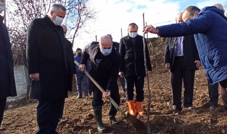 Vali Dağlı Bafra’da incelemelerde bulundu