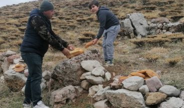 Yaban hayvanlarına yem bırakıldı