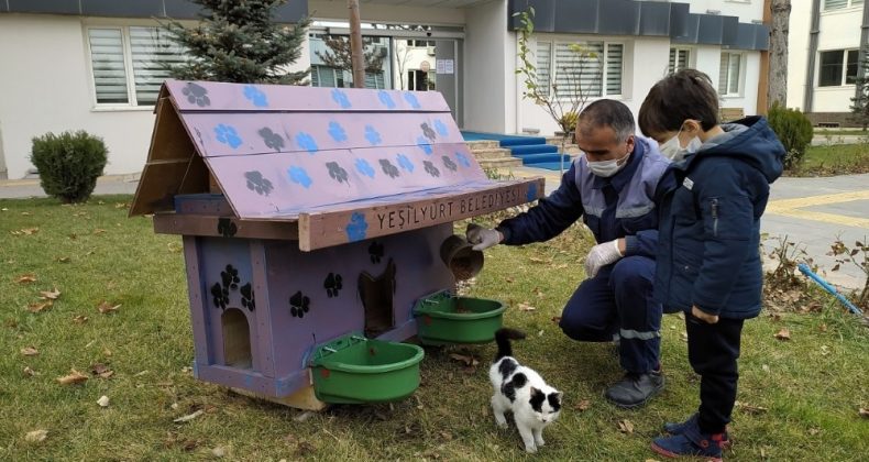 Yeşilyurt’ta sokak hayvanları için Kedi ve Köpek Evler Projesi