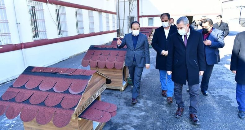 Yeşilyurt’ta sokak hayvanları için örnek proje